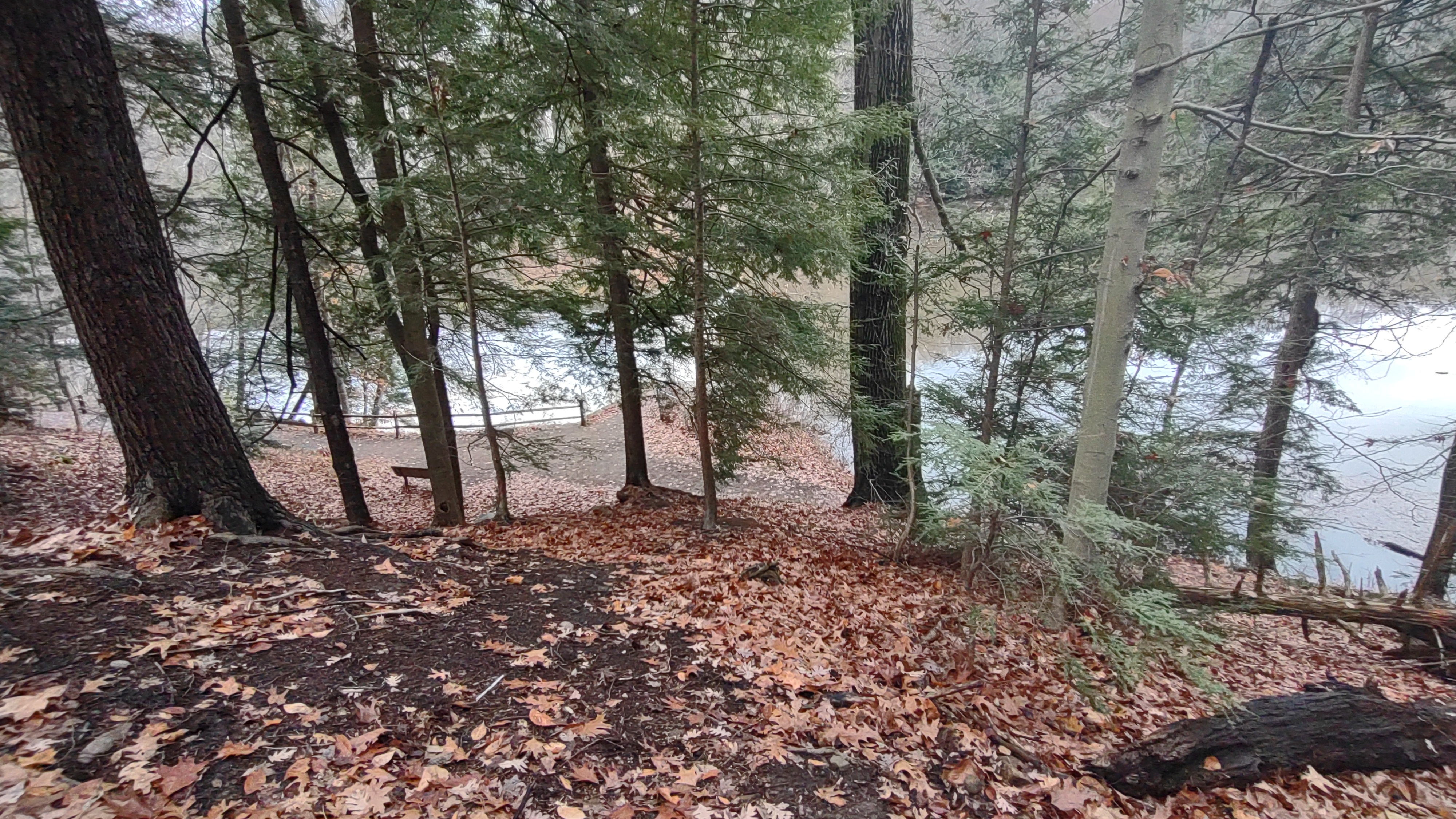 IMG_20221112_104849809