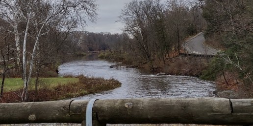 IMG_20221112_111724018_HDR