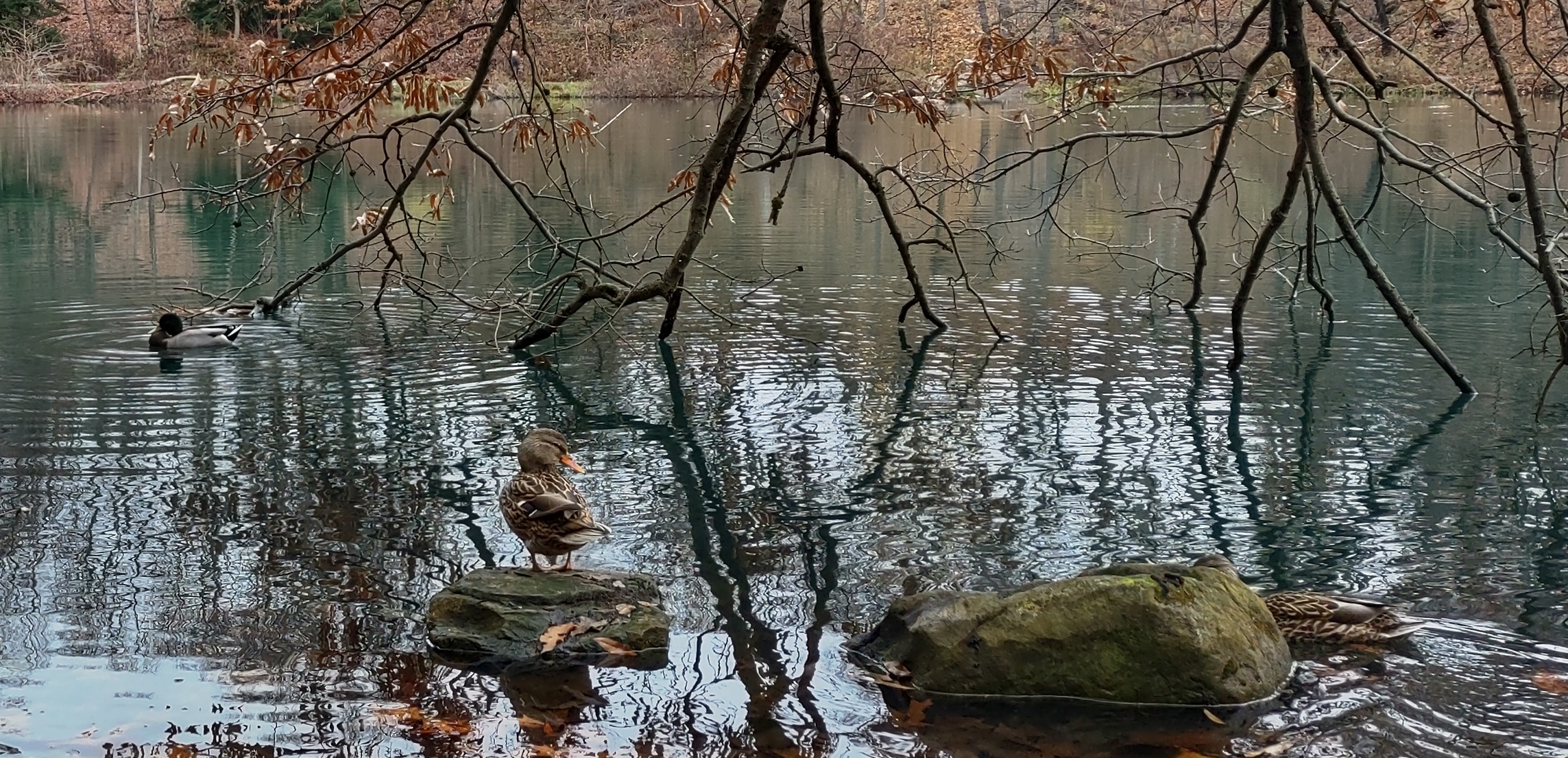 IMG_20221112_112627620_HDR