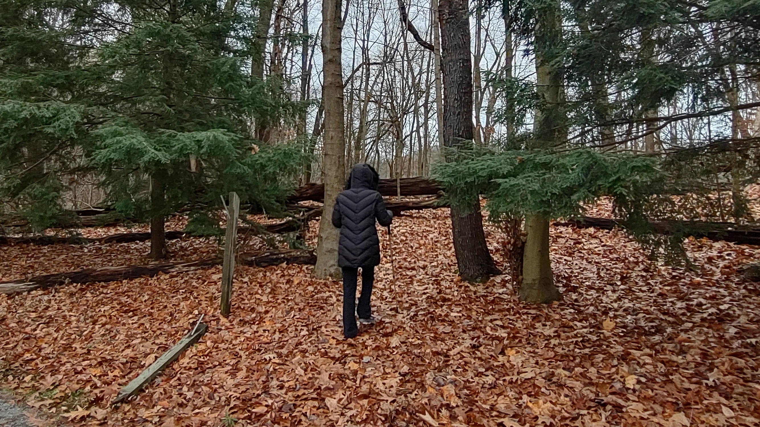 IMG_20221112_112956122_HDR