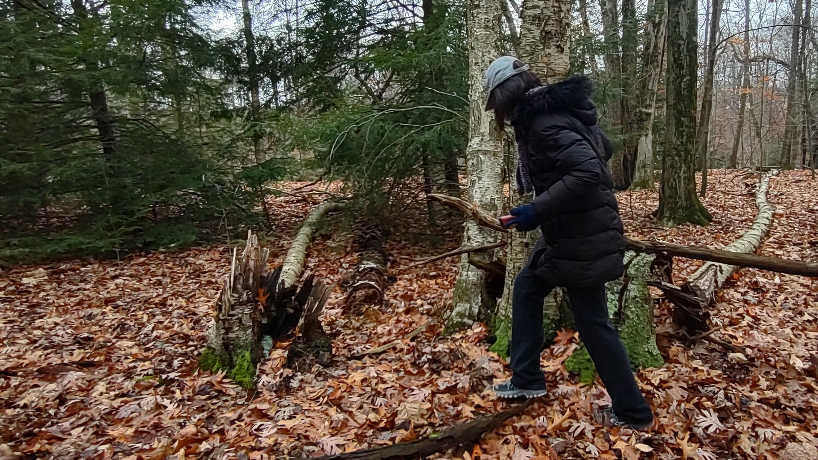 IMG_20221112_113635304_HDR