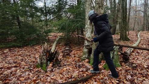 IMG_20221112_113635304_HDR