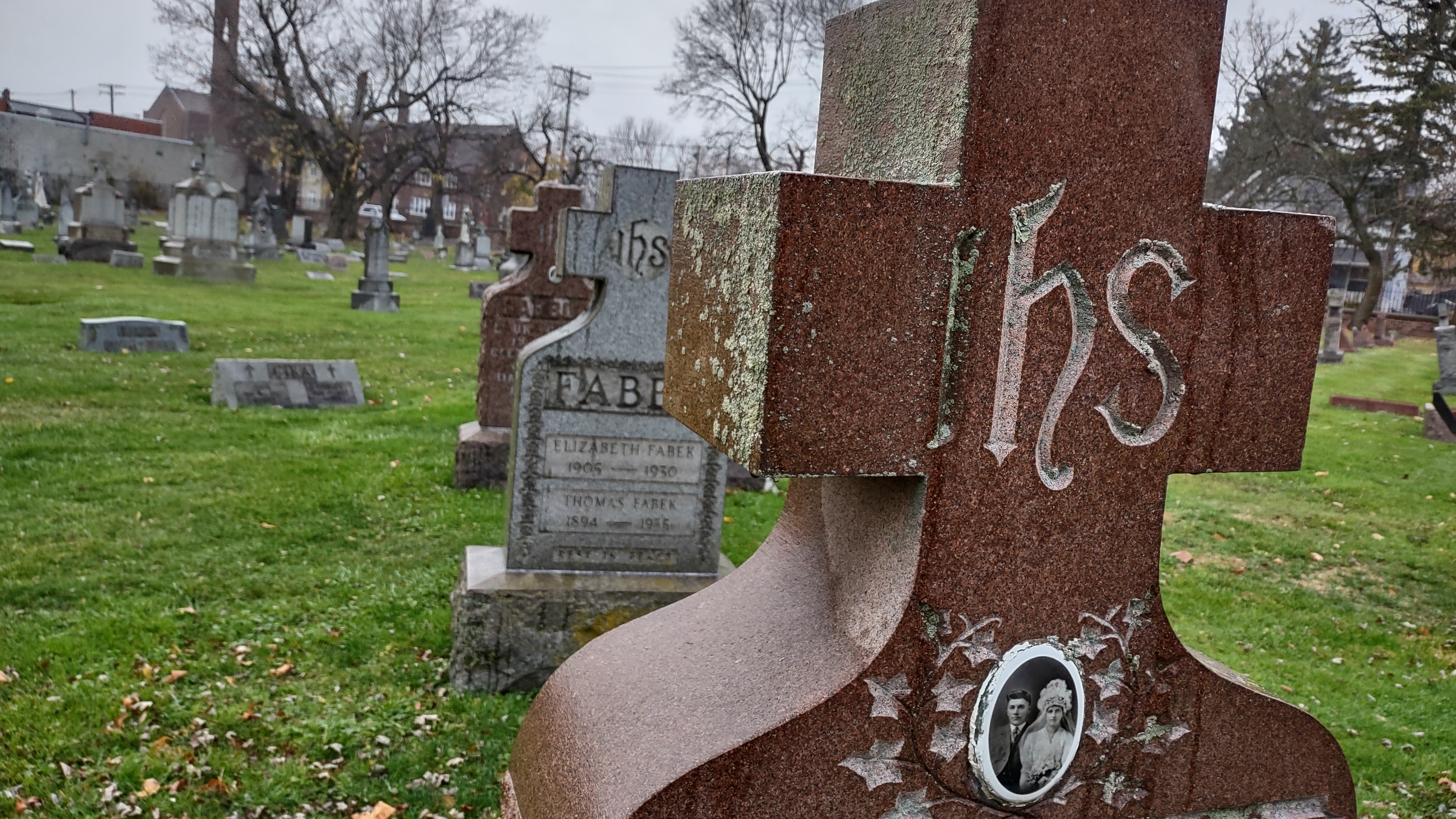 IMG_20221112_154524398_HDR