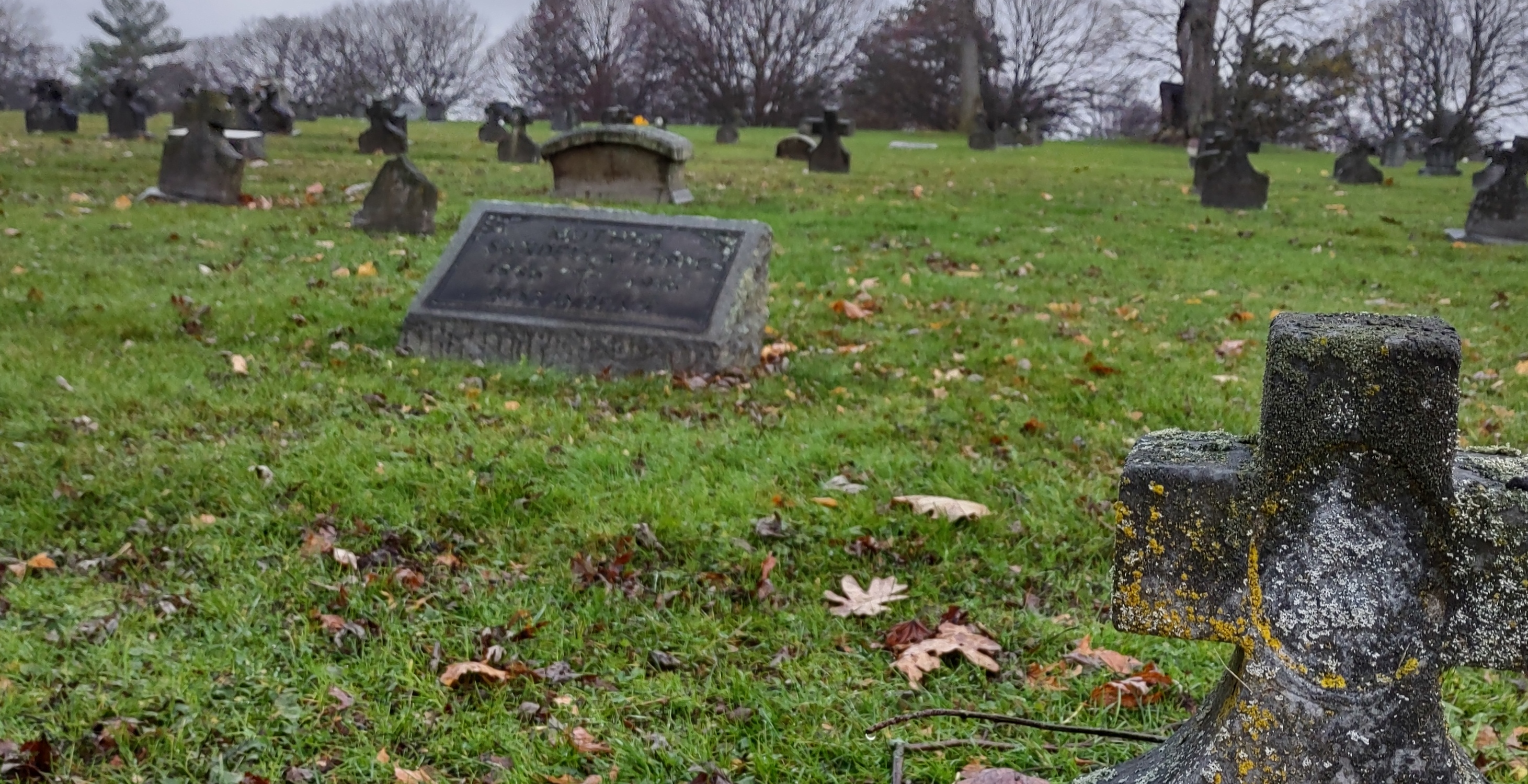 IMG_20221112_155328642_HDR