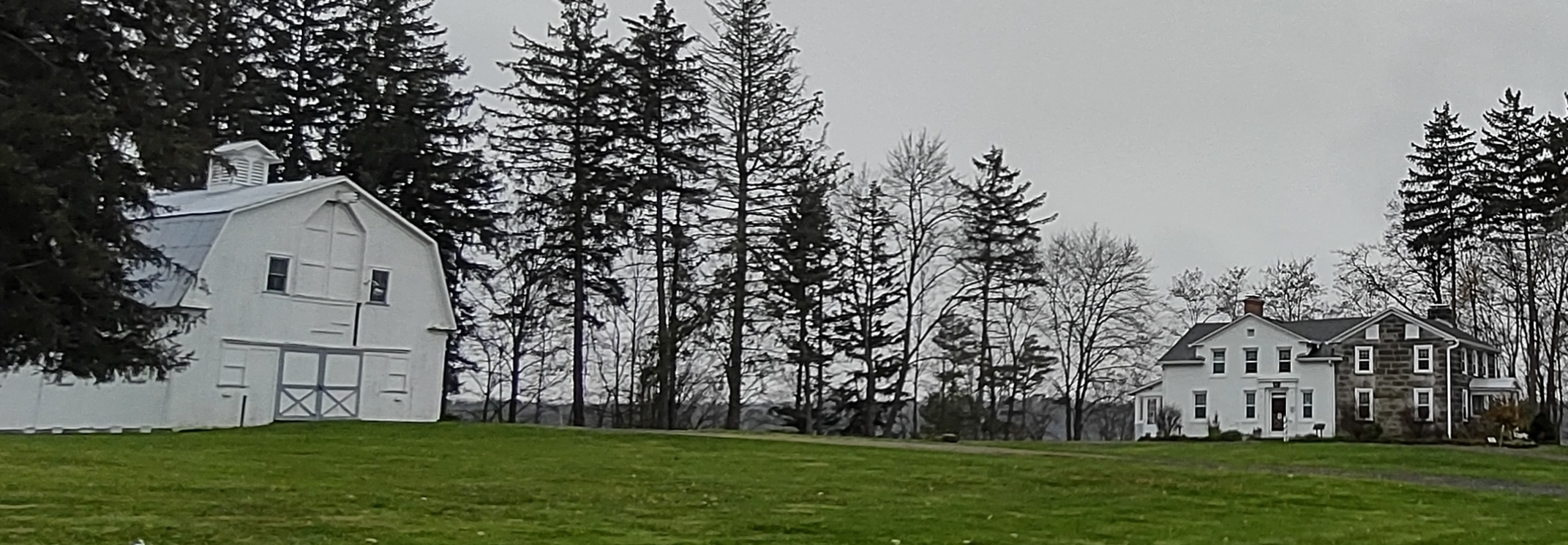 IMG_20221112_163110830_HDR