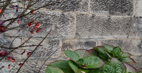 IMG_20221112_163743336