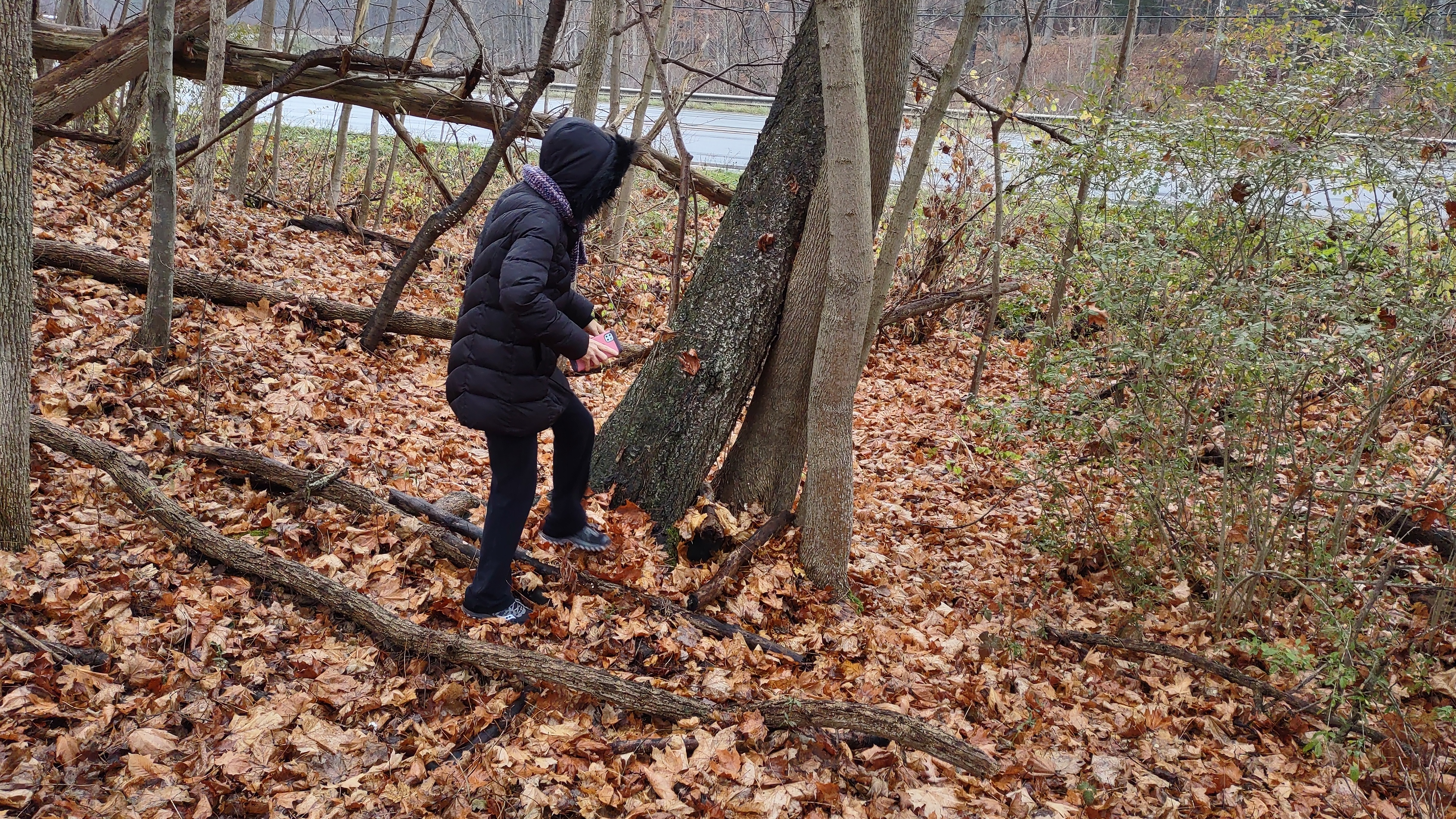 IMG_20221112_164509202