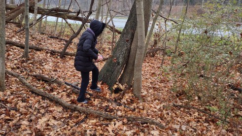 IMG_20221112_164509202