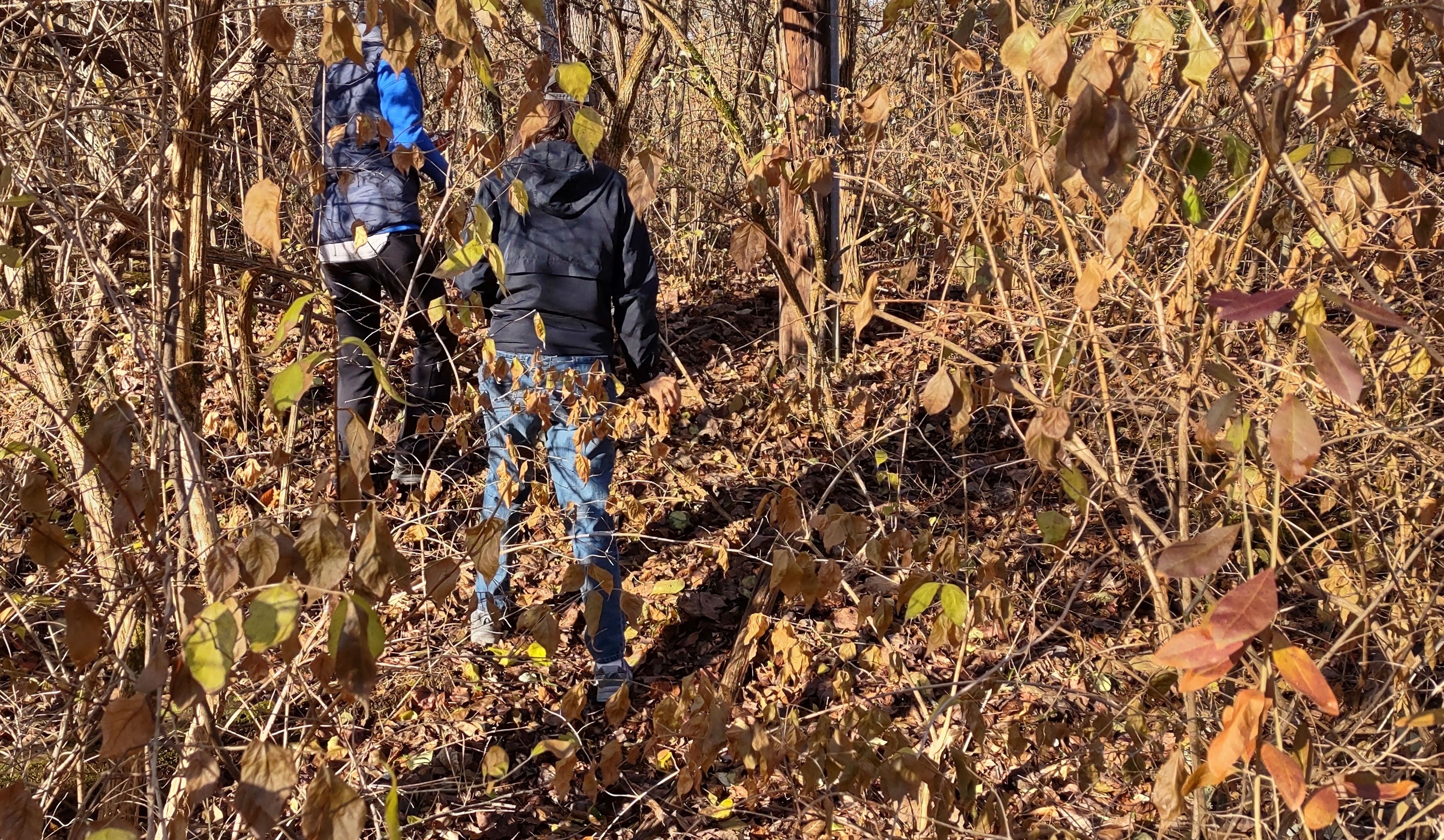 IMG_20221203_100224126_HDR