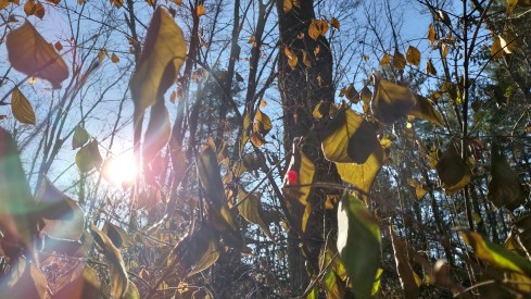 IMG_20221203_101430044_HDR