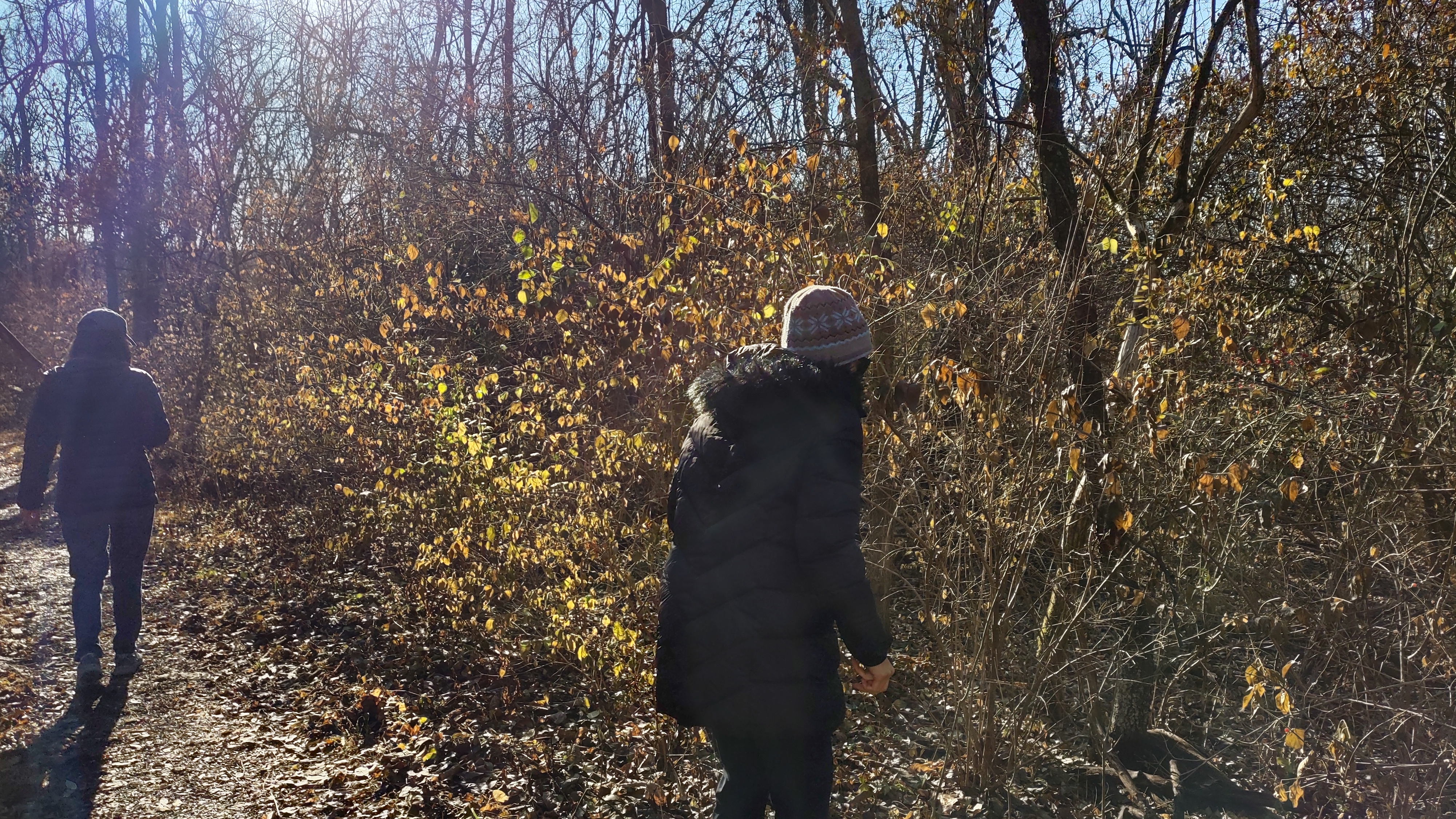 IMG_20221203_101611347_HDR