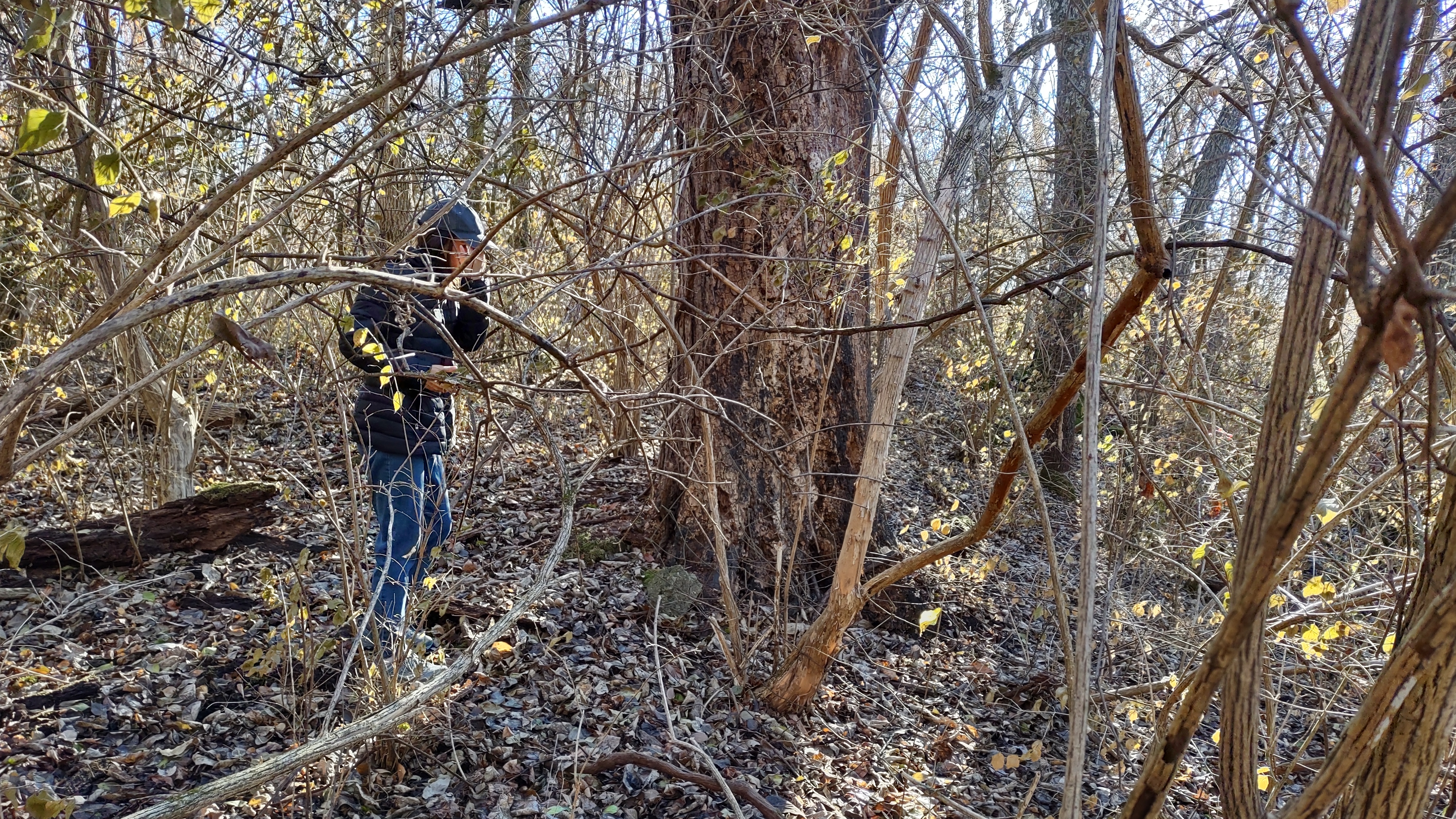 IMG_20221203_101745682_HDR