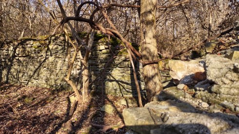 IMG_20221203_102444022_HDR