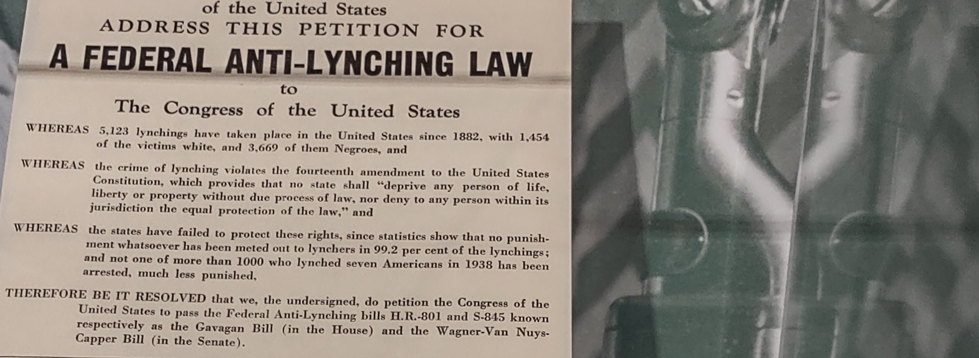 IMG_20221203_115627544_HDR