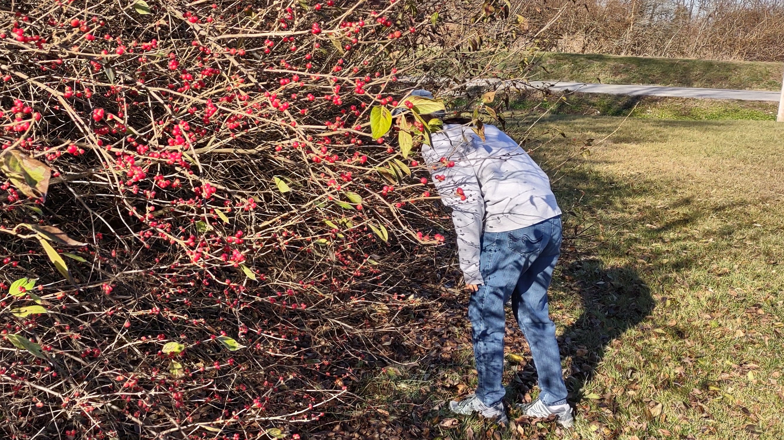 IMG_20221203_141039731_HDR