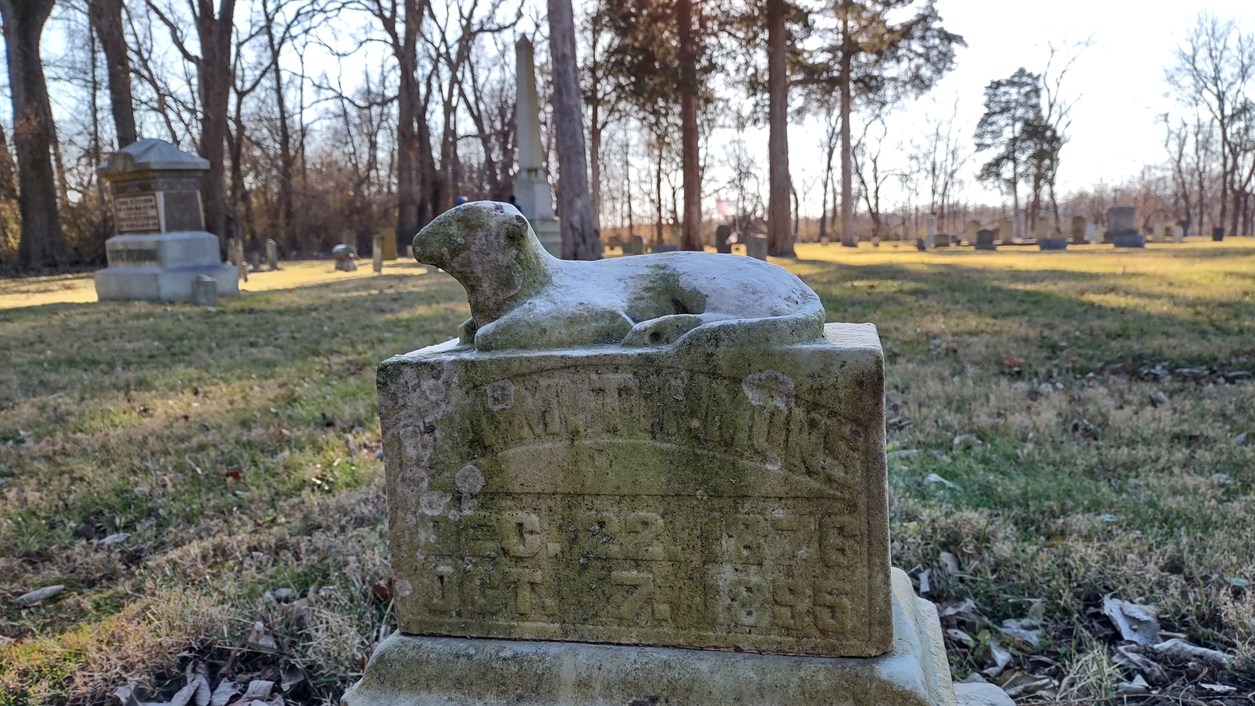 IMG_20221203_150429709_HDR