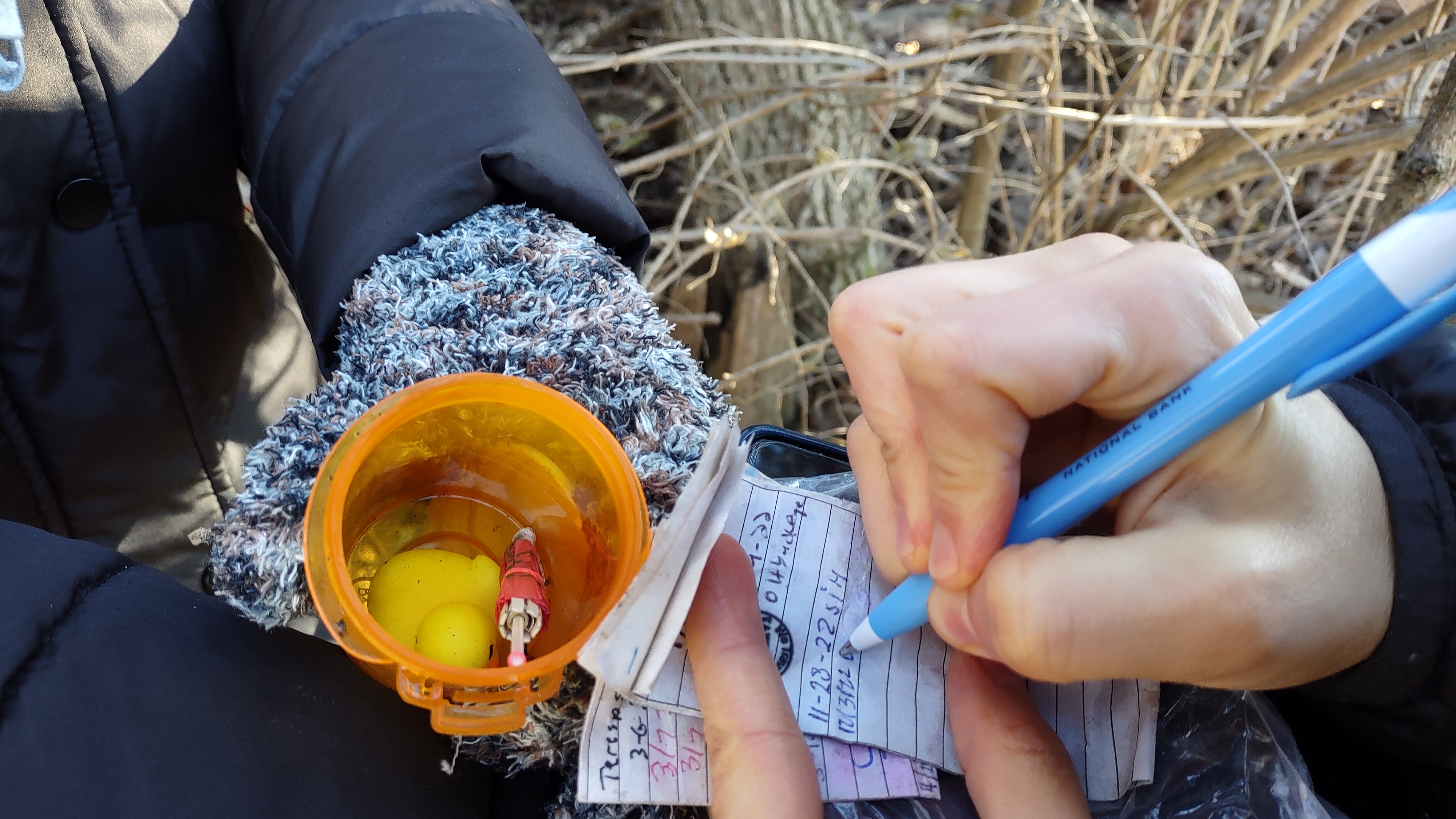 IMG_20221203_151135262