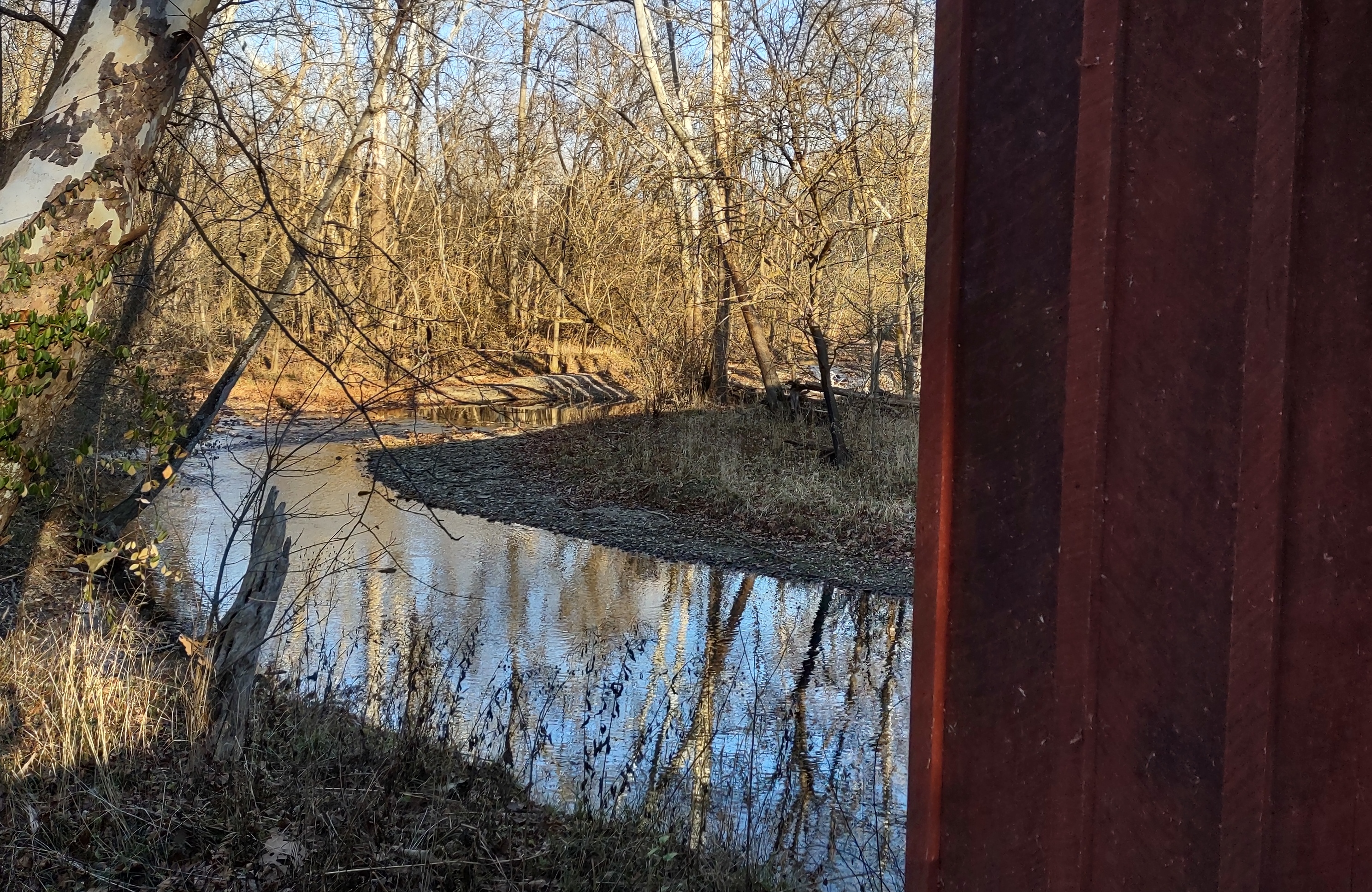 IMG_20221203_152646940_HDR