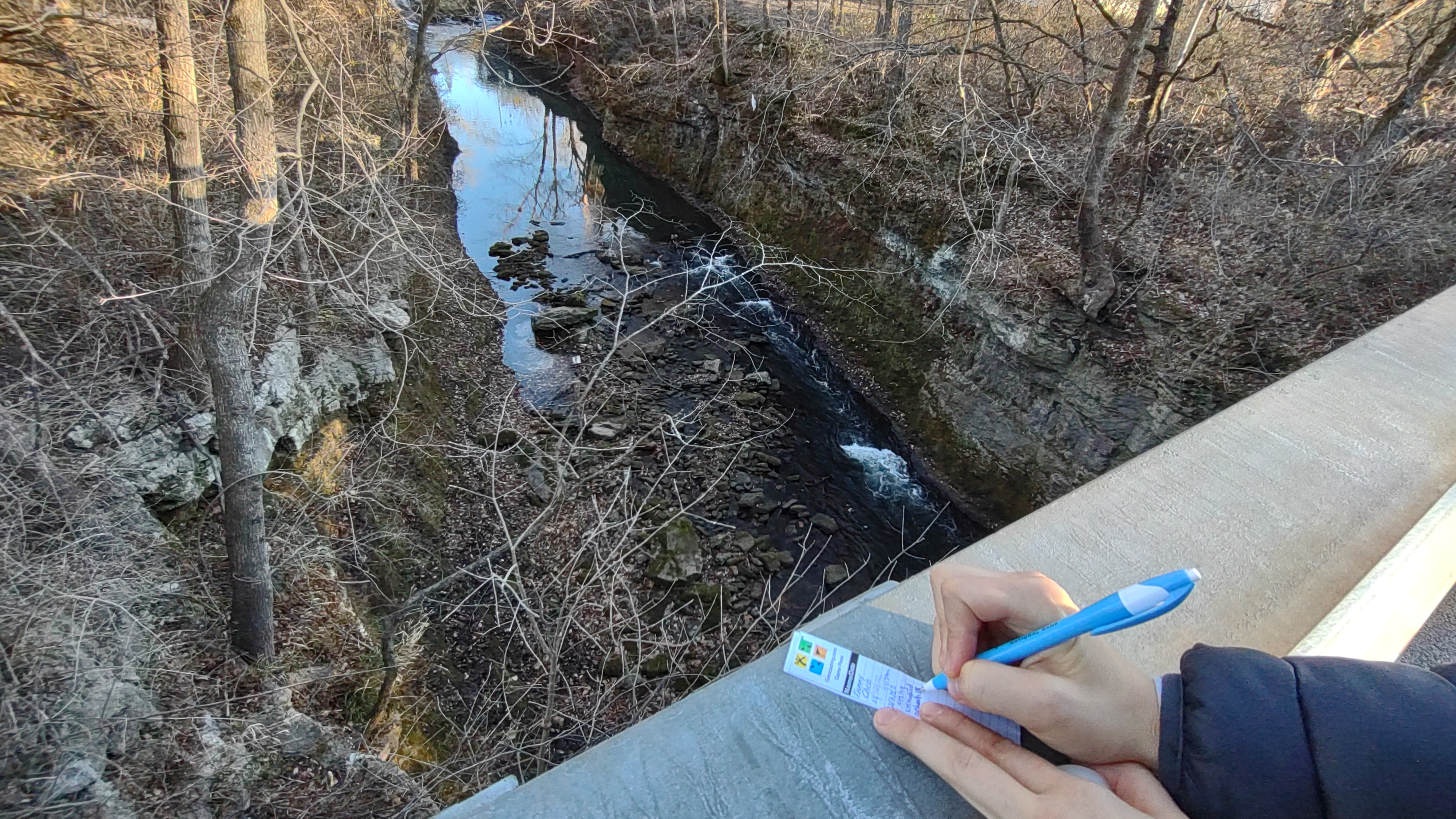 IMG_20221203_160229483 - Copy