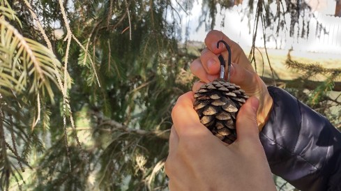 IMG_20221221_110417613_HDR