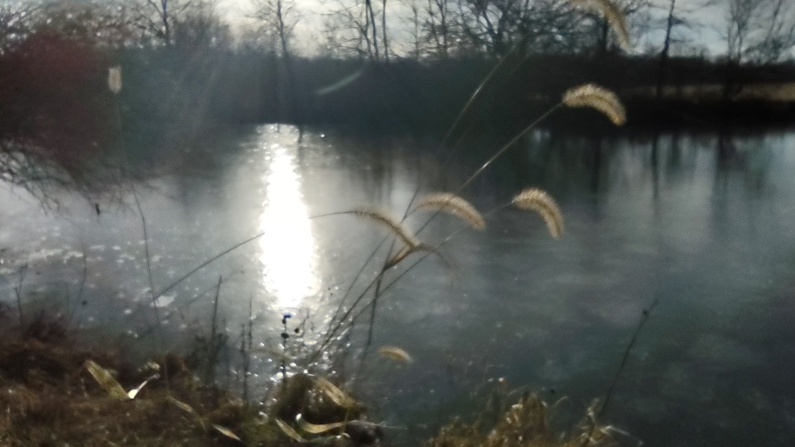 IMG_20221221_153452057_HDR