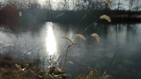 IMG_20221221_153452057_HDR