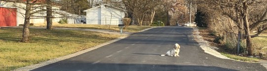 IMG_20221221_154317024_HDR