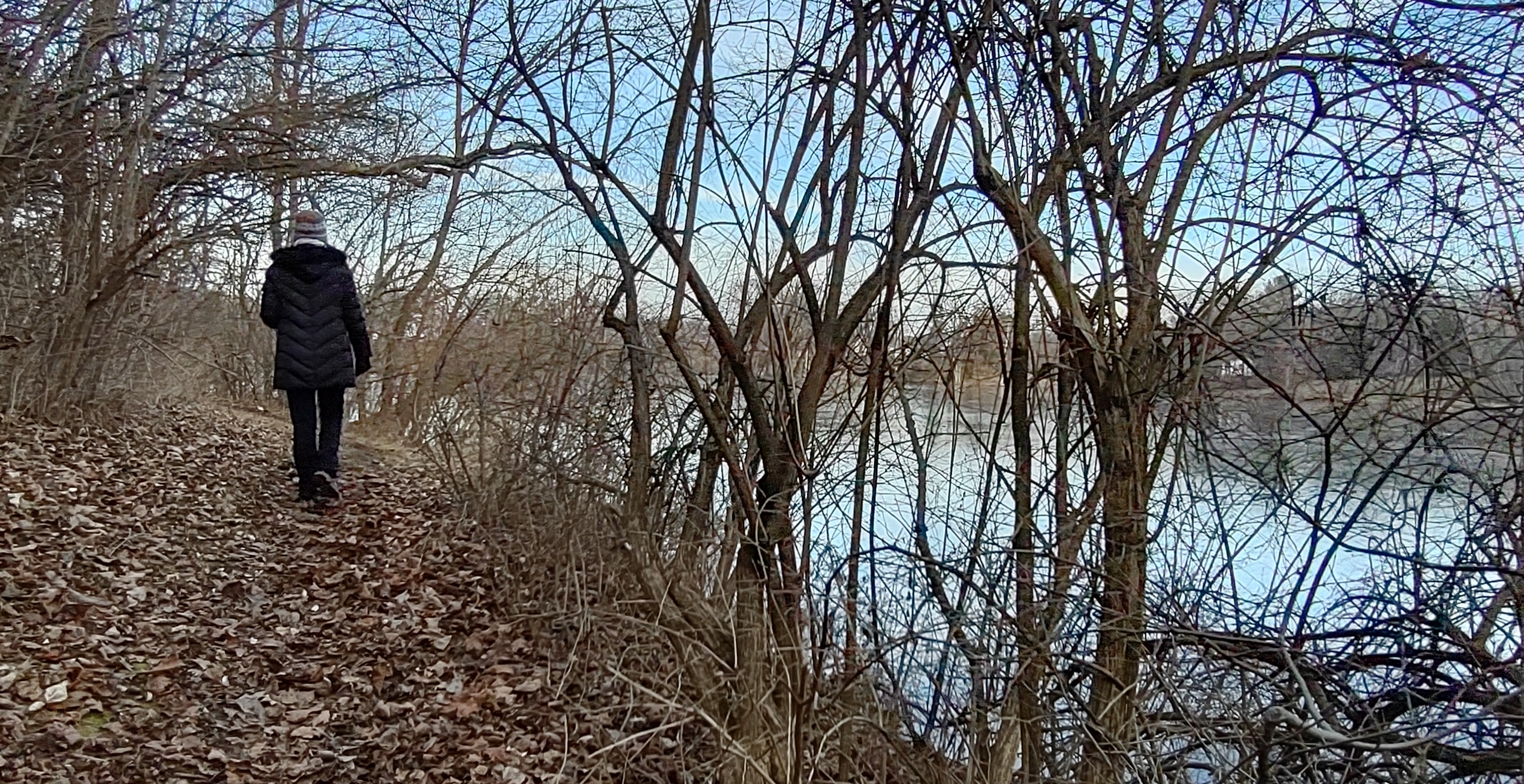 IMG_20221221_160132185_HDR