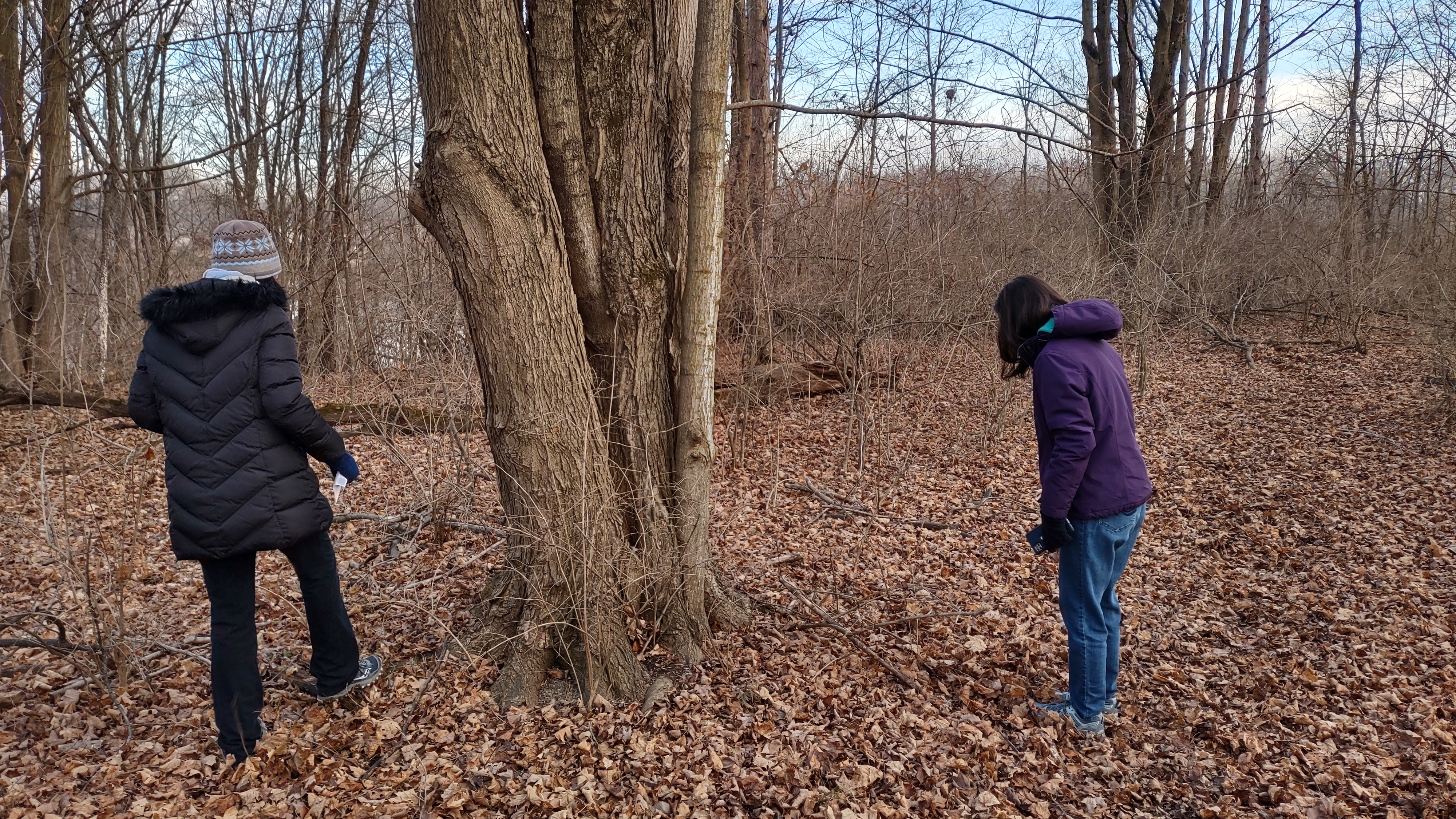 IMG_20221221_161325137_HDR