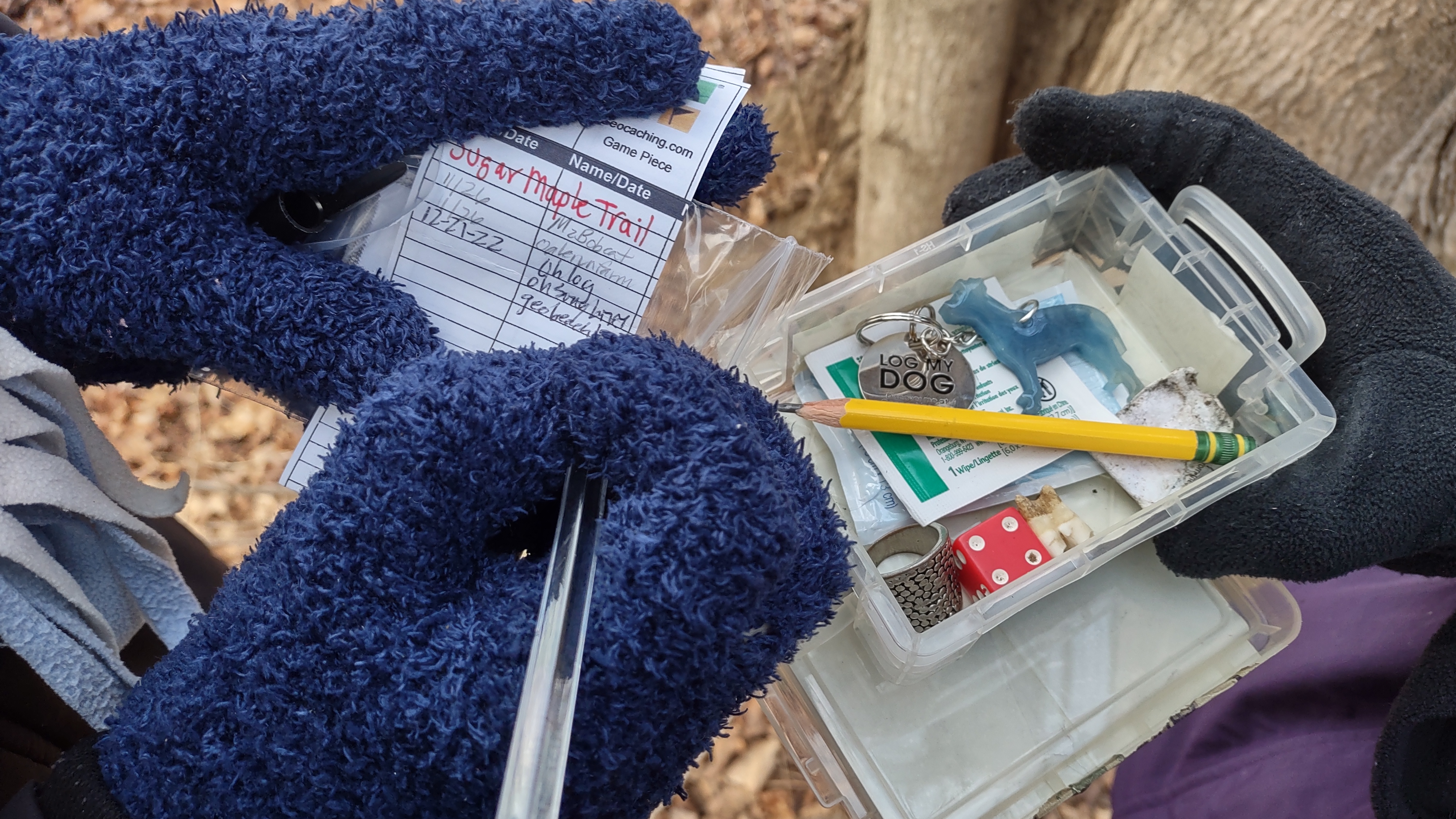 IMG_20221221_161540937_HDR