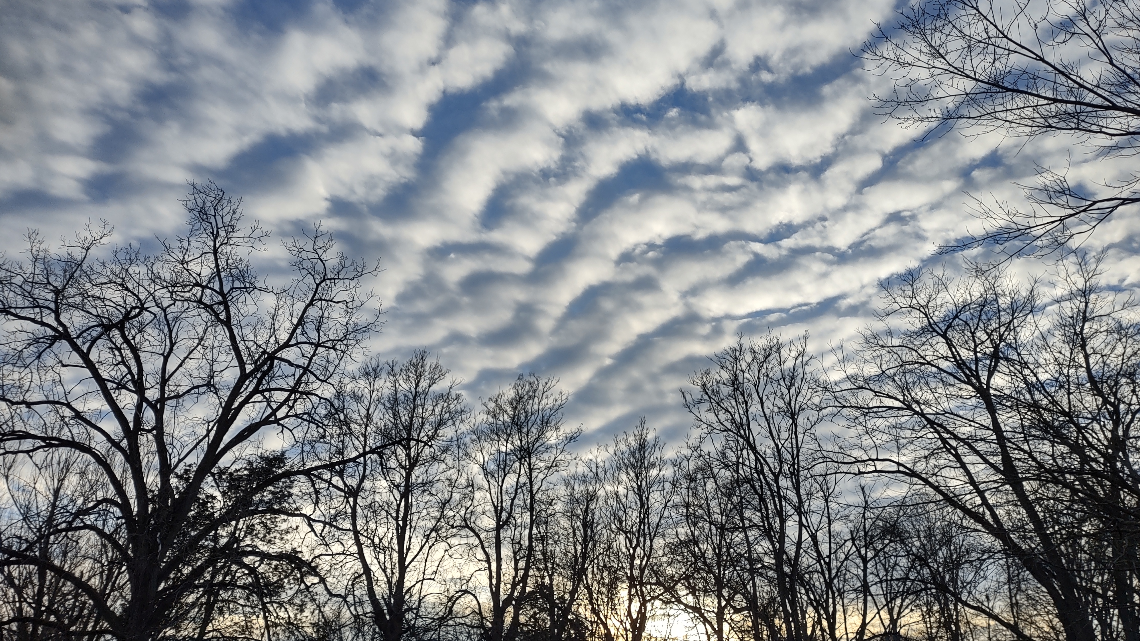 IMG_20221221_162505953_HDR