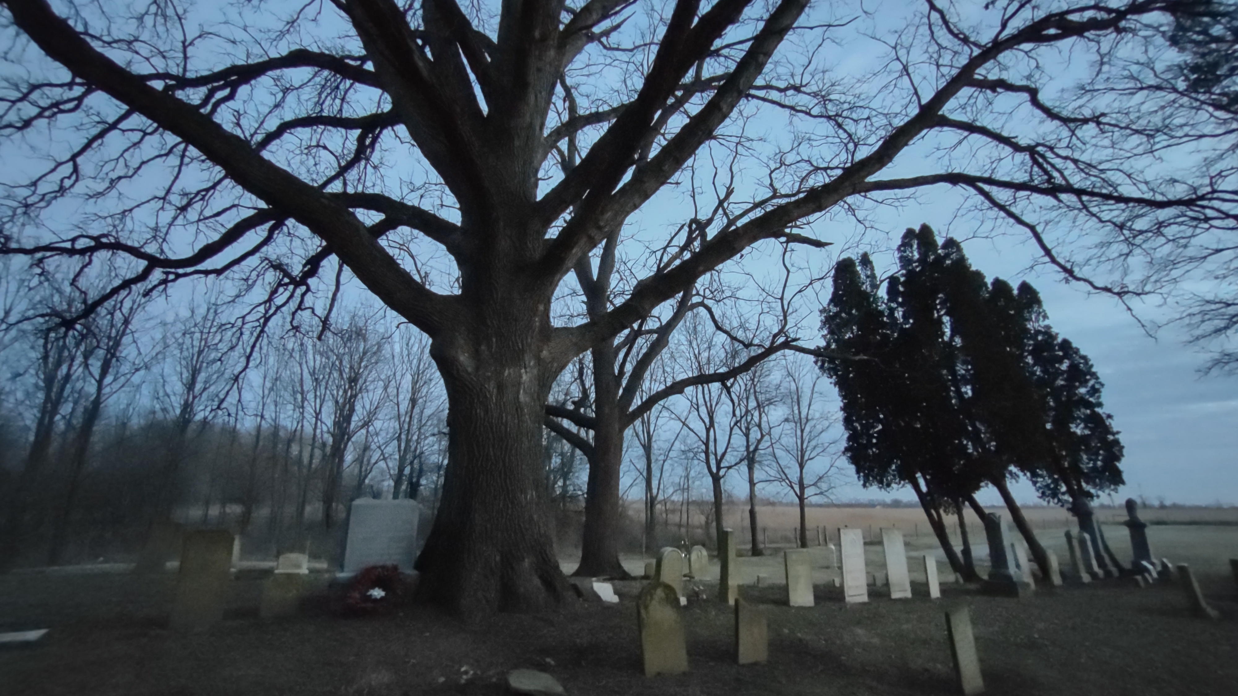 IMG_20221221_173124440_HDR