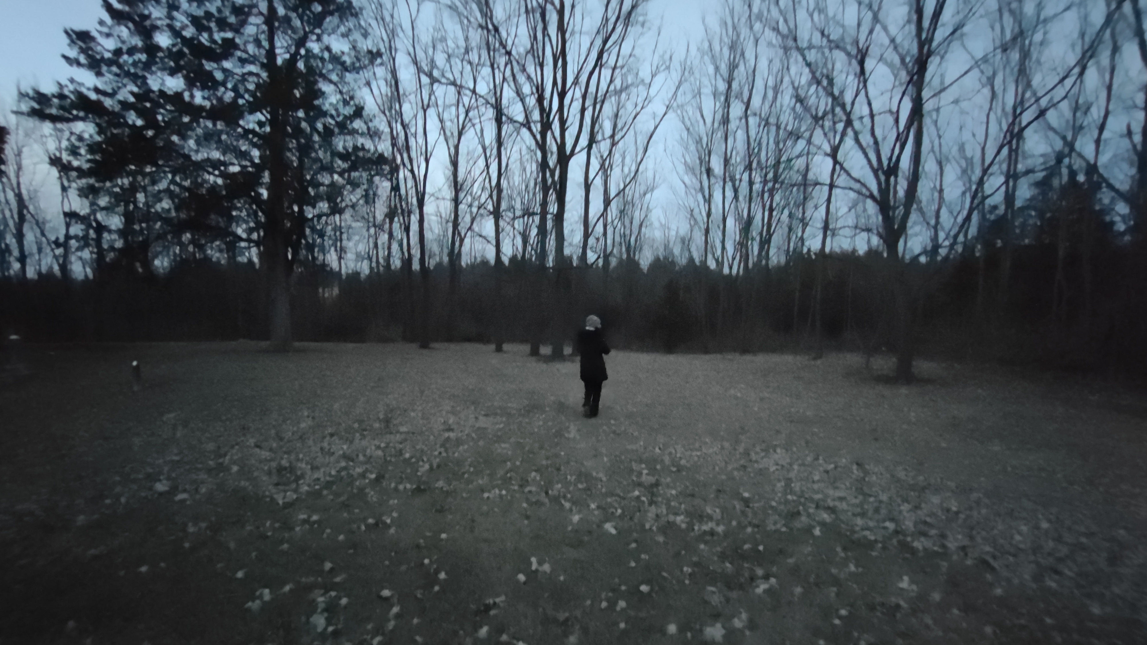 IMG_20221221_173308919