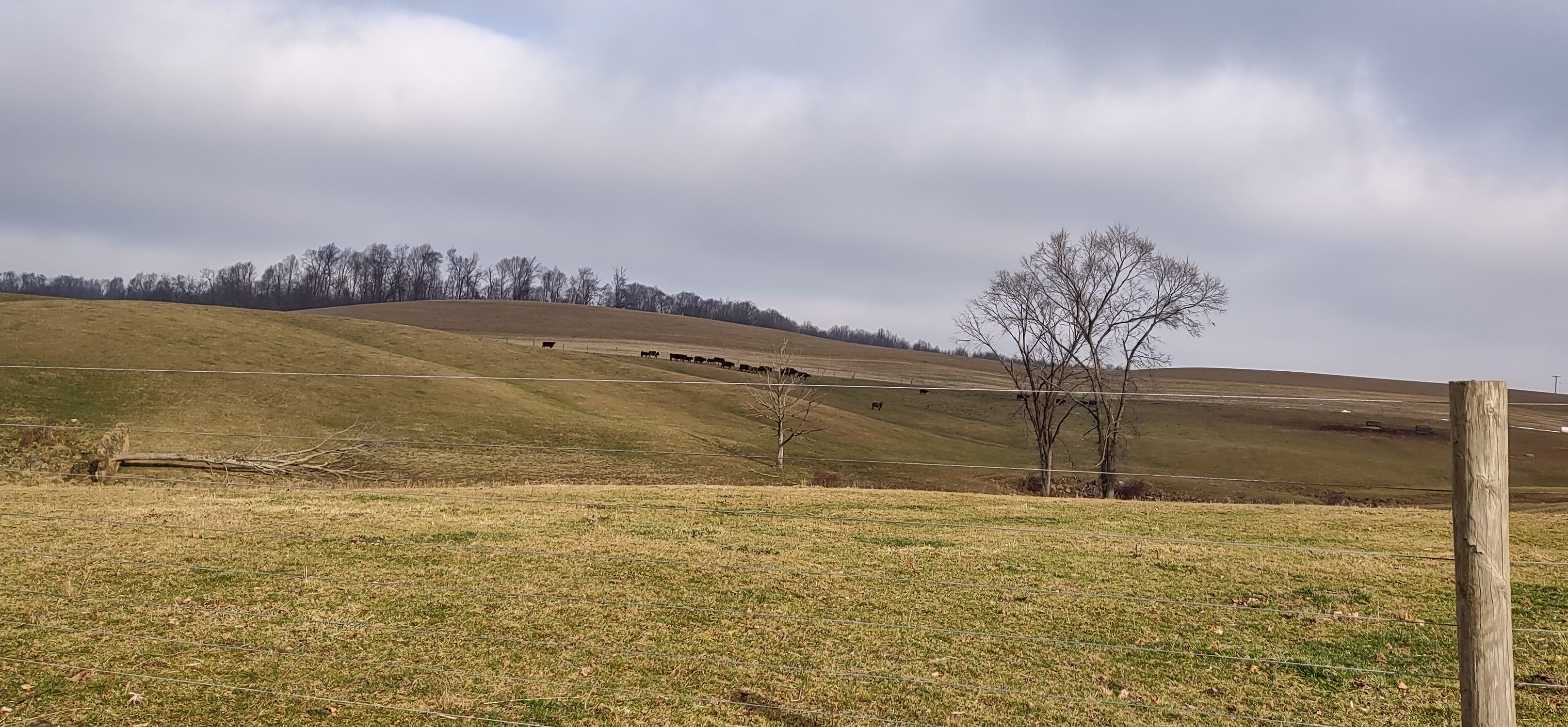 IMG_20230109_102951473_HDR