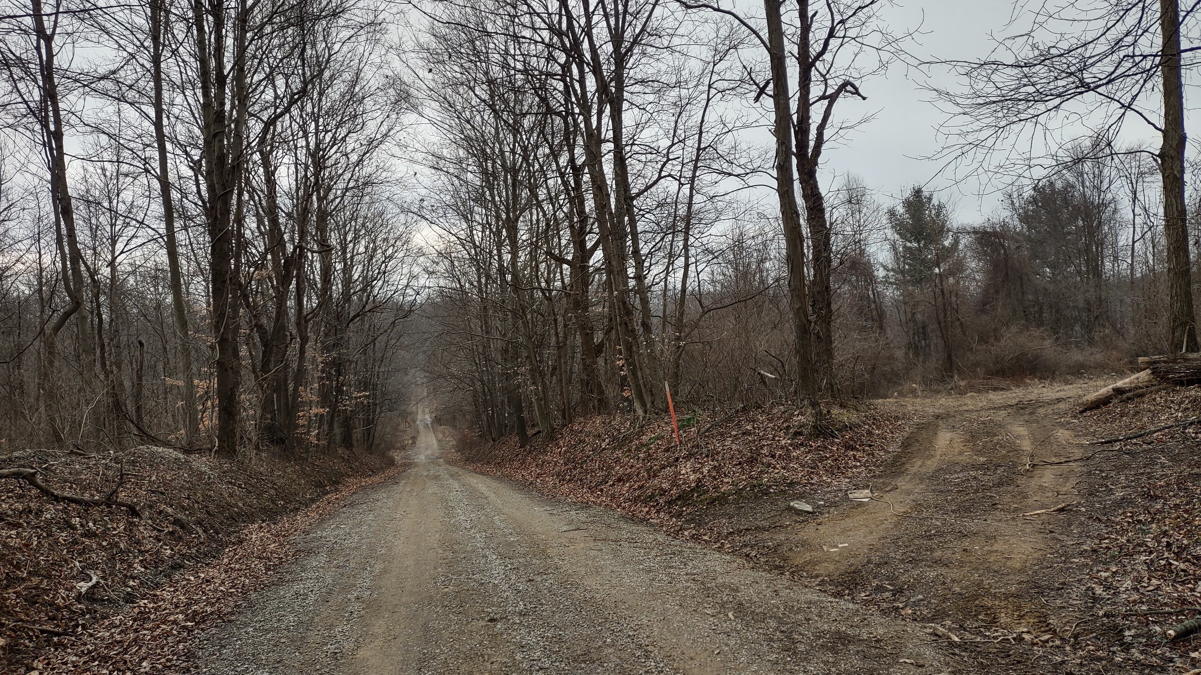 IMG_20230109_103826667_HDR