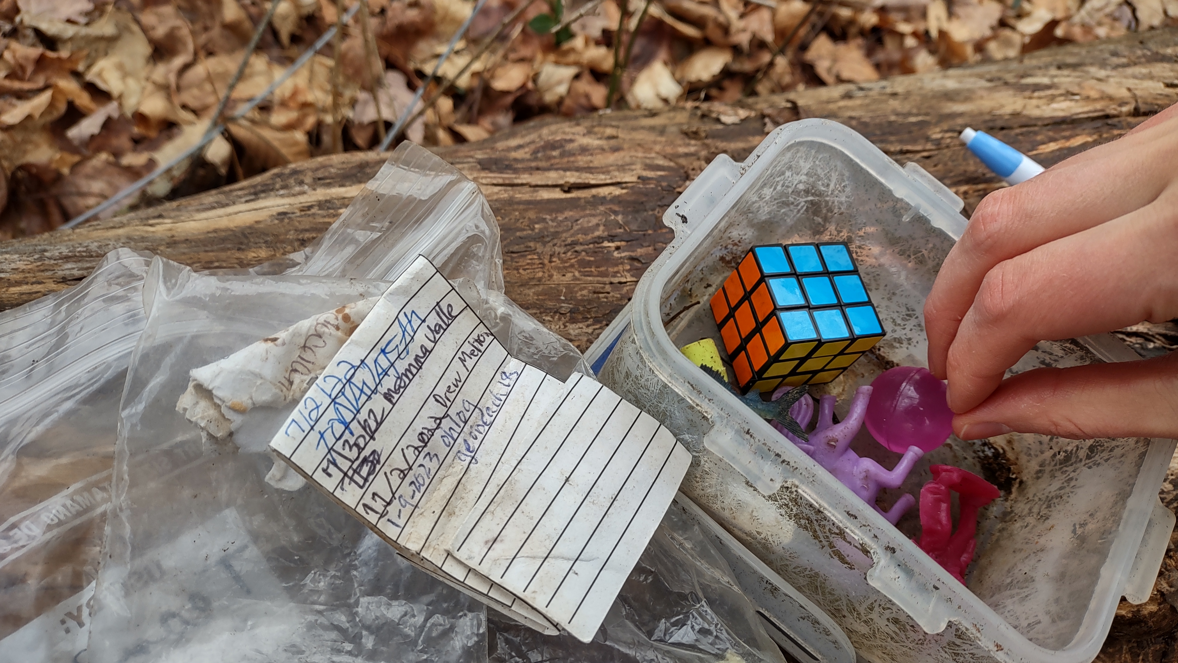 IMG_20230109_105333519_HDR