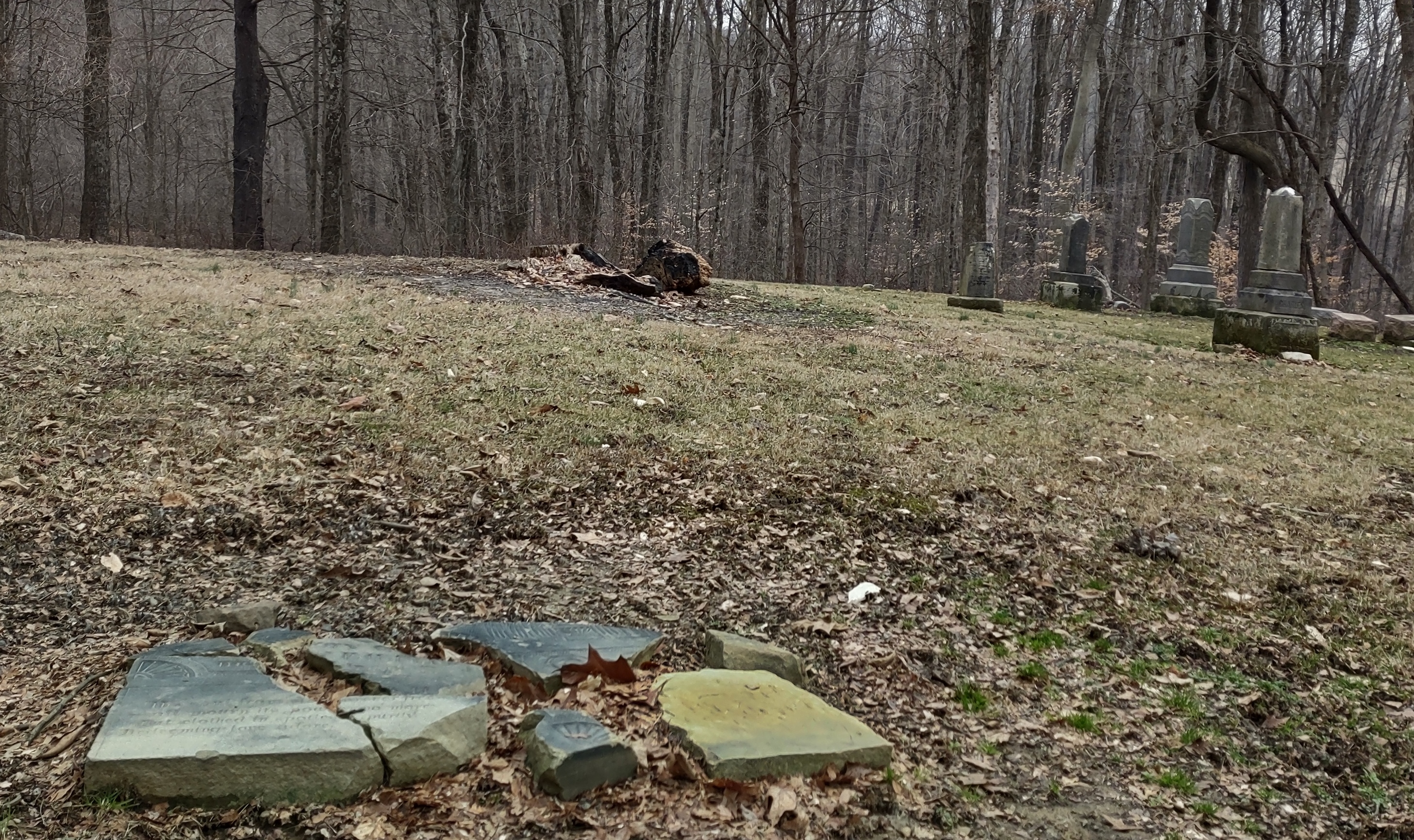 IMG_20230109_105628039_HDR