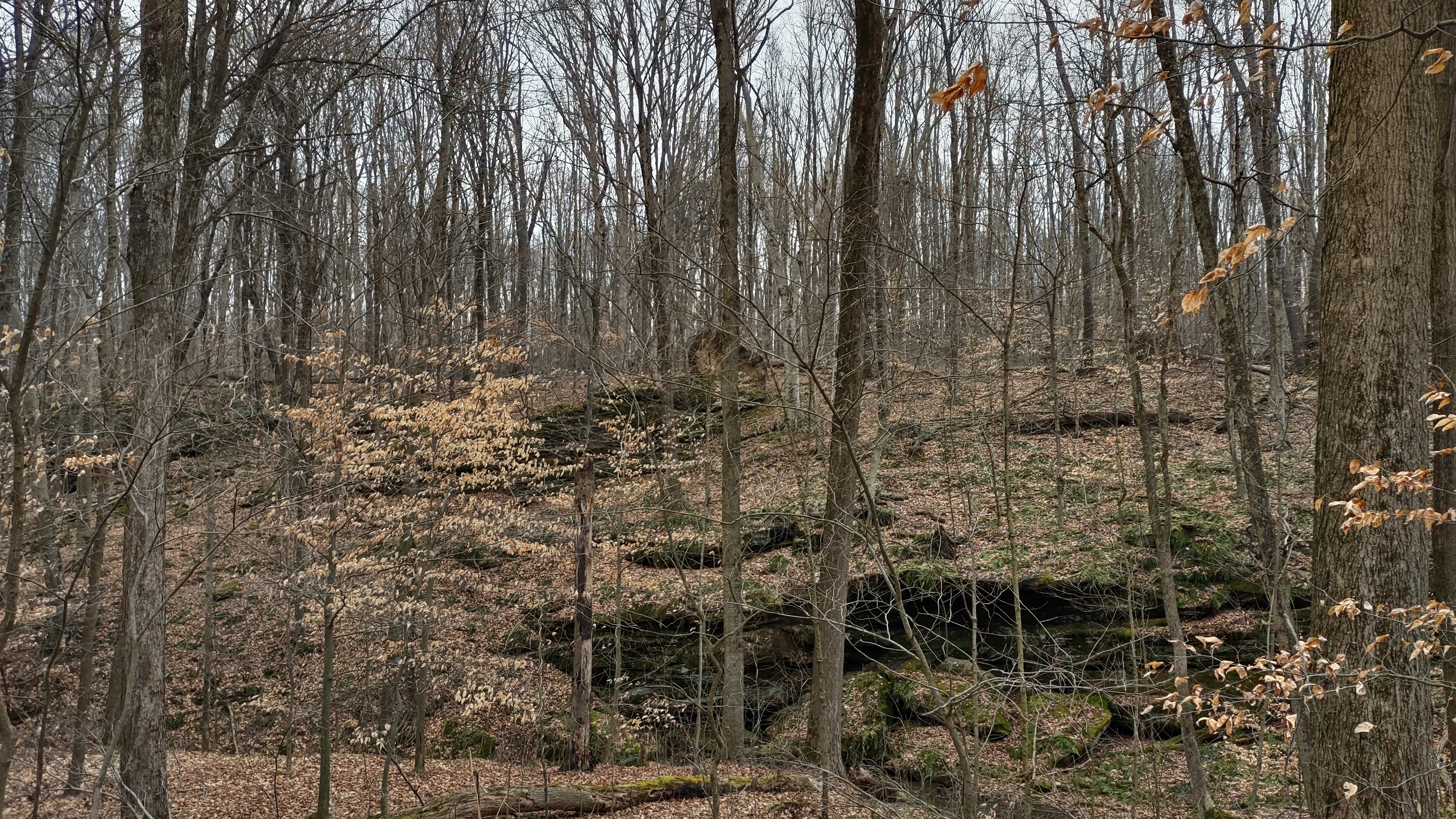 IMG_20230109_111016737_HDR