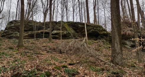 IMG_20230109_111140817_HDR - Copy