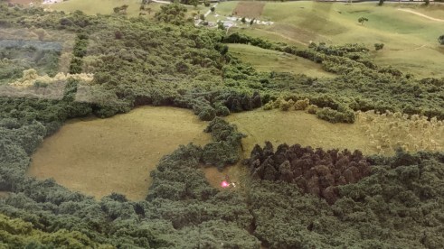 IMG_20230109_113617062