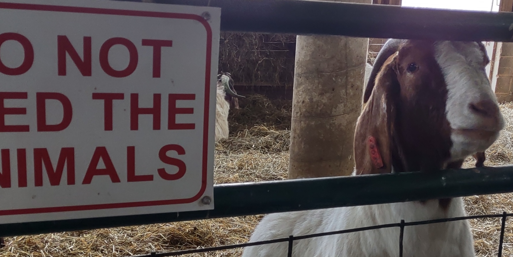 IMG_20230109_115740320_HDR - Copy