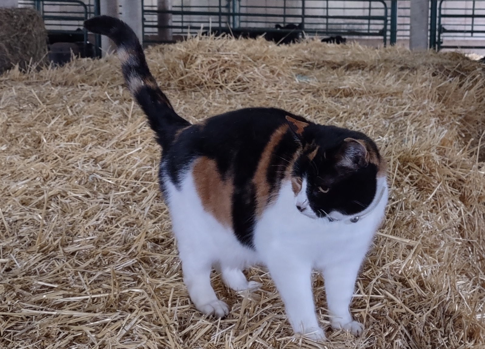 IMG_20230109_115916939_HDR - Copy