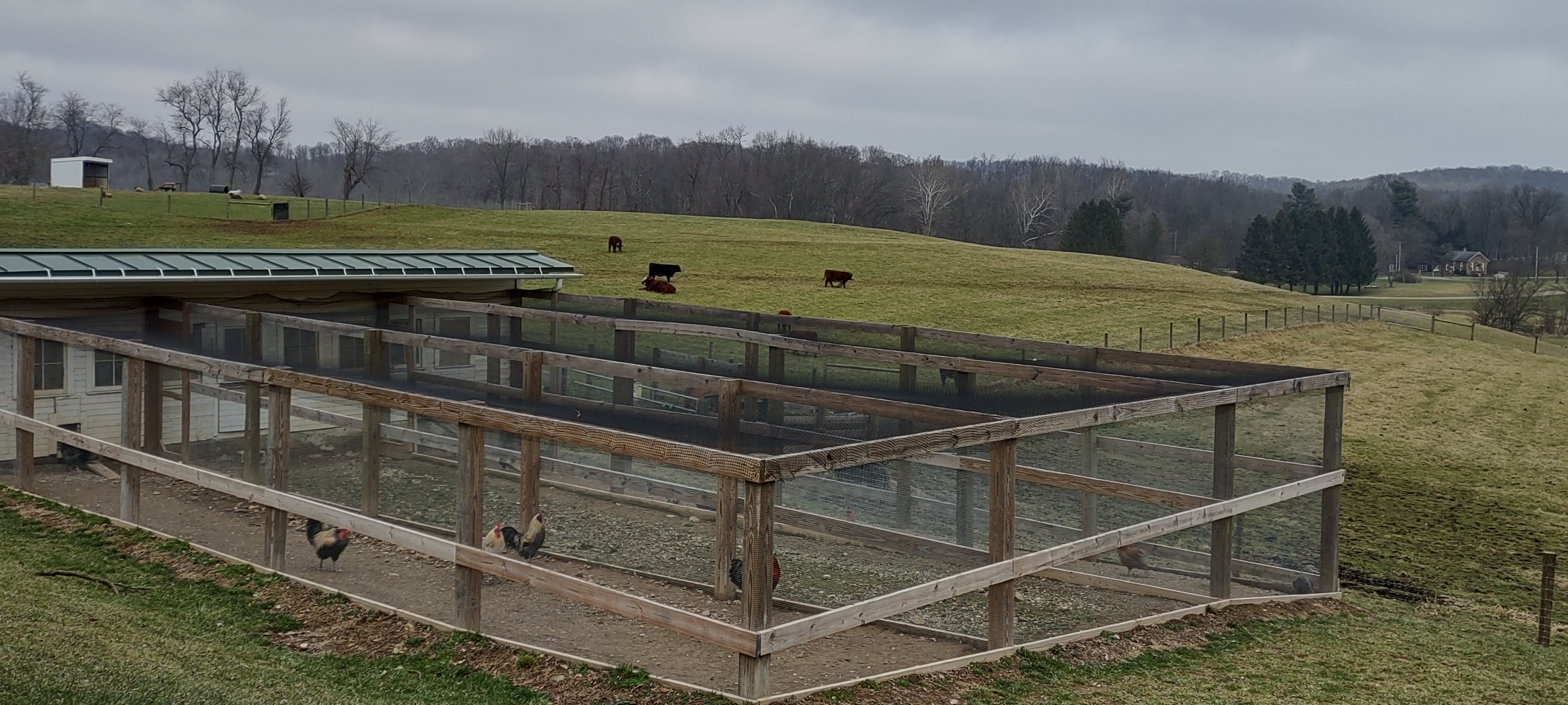 IMG_20230109_120225157_HDR