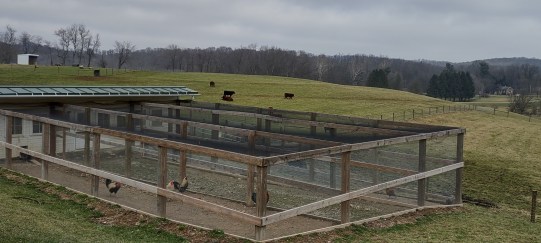 IMG_20230109_120225157_HDR