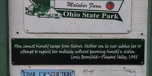 IMG_20230109_121741607_HDR