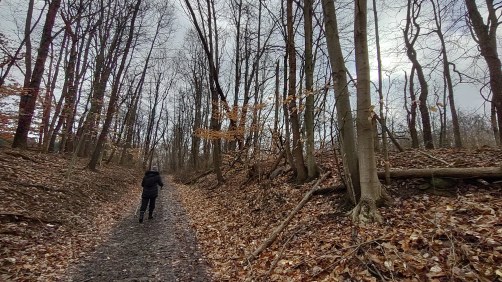 IMG_20230109_123820716_HDR