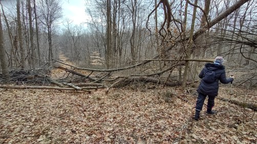 IMG_20230109_124532659_HDR