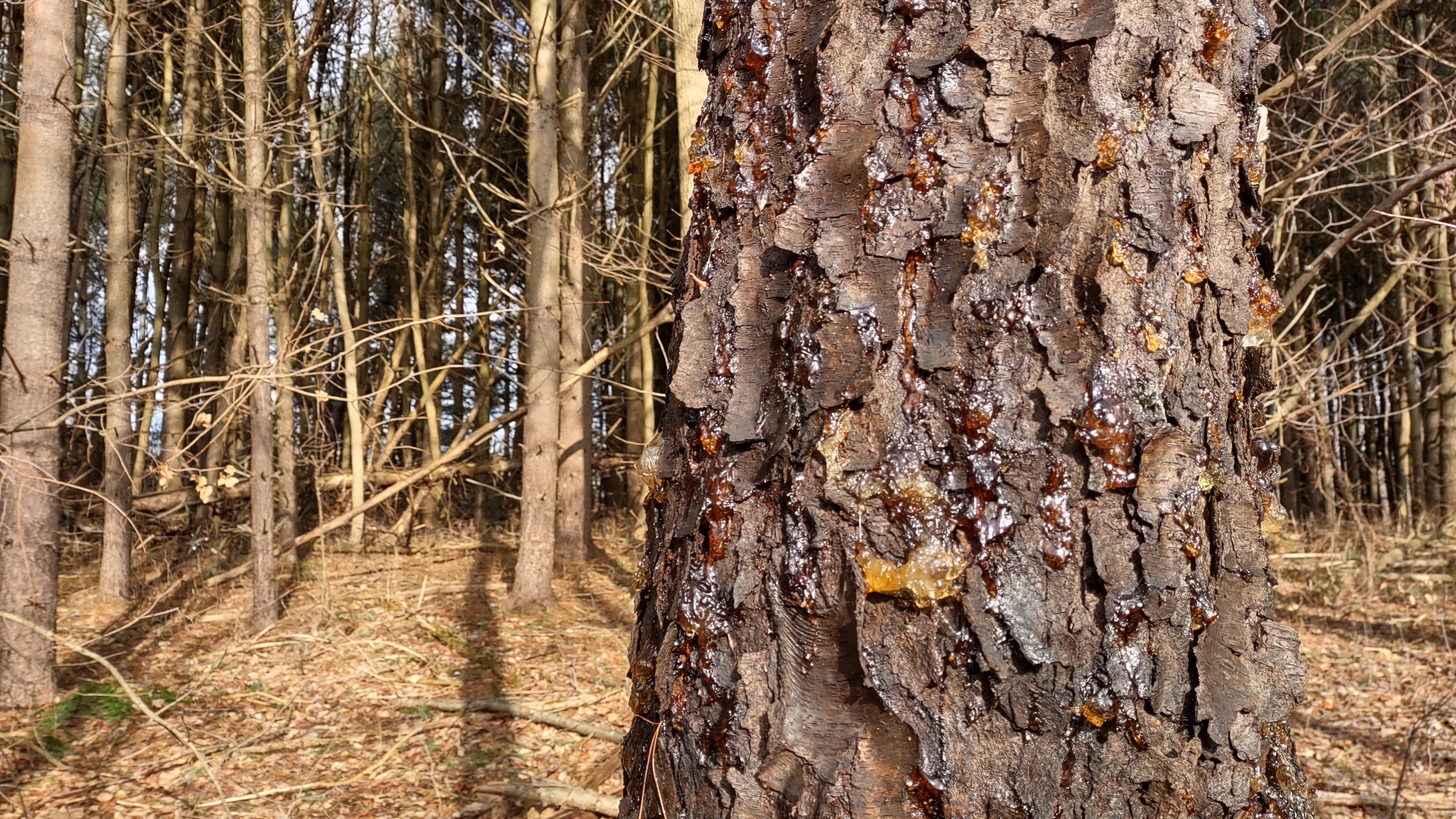 IMG_20230109_131713916_HDR