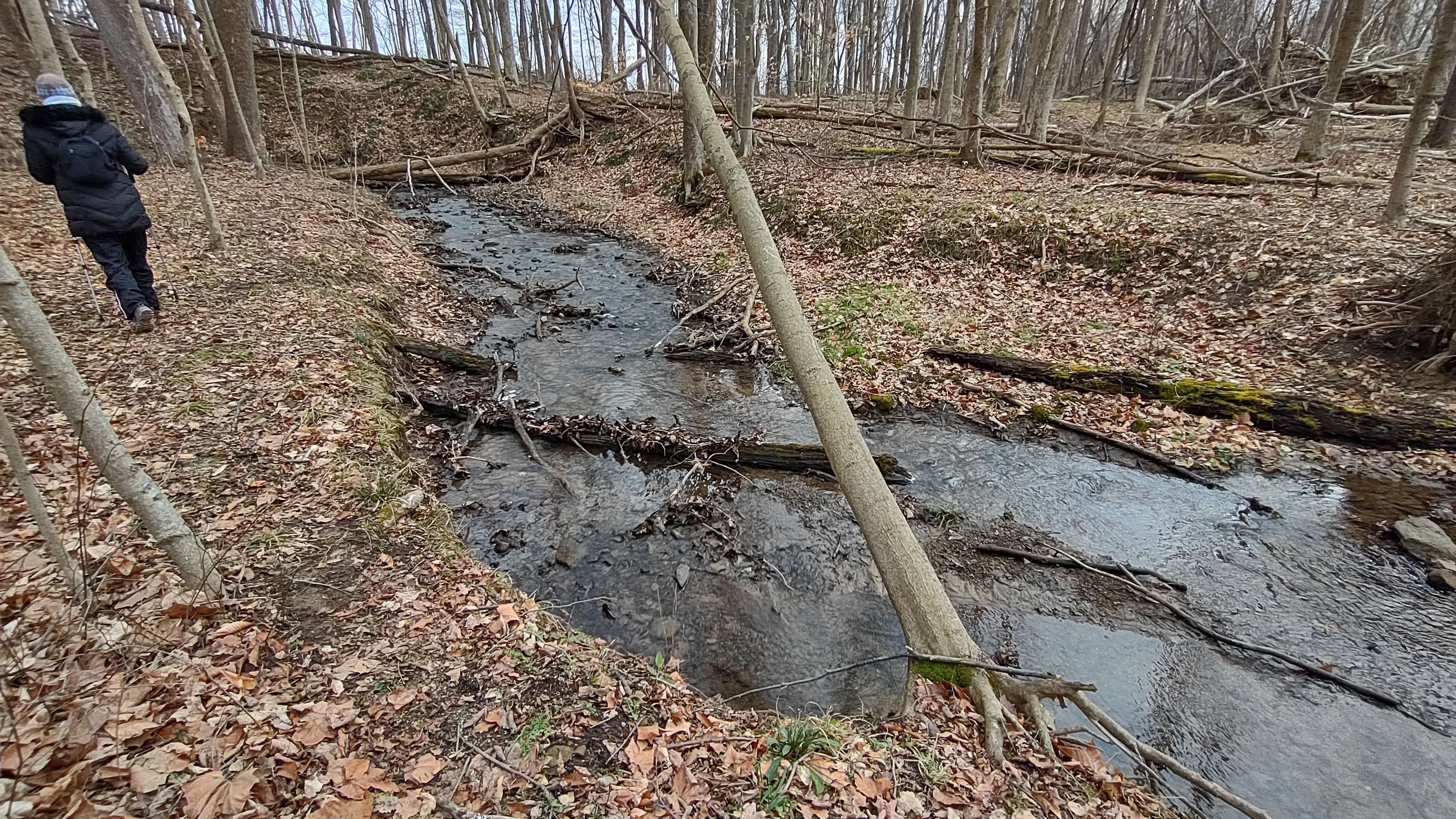 IMG_20230109_140528193_HDR