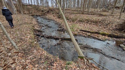 IMG_20230109_140528193_HDR